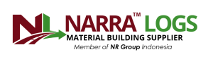 logo narralogs